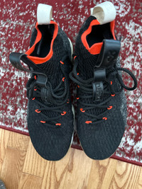 Nike Lebron 15