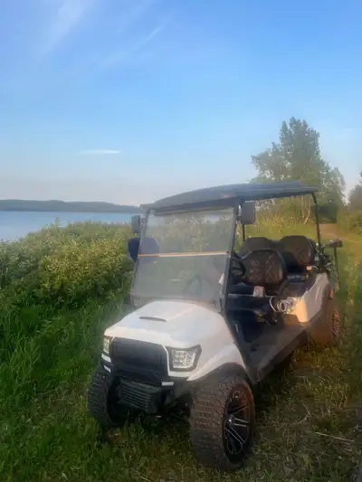 cartgolf limousine, View more