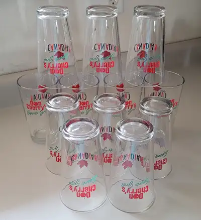 Vintage Libbey Glassware Molson Canadian Don Cherry's 16oz Beer Glasses - set of 12 heavy and very t...