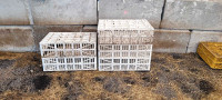 Chicken crates. GOOD condition!