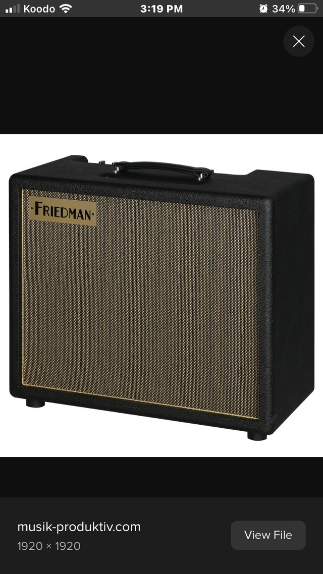 Friedman runt 50 in Amps & Pedals in Dartmouth
