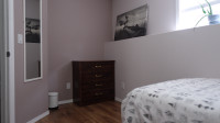 Room for rent available in Stonebridge area