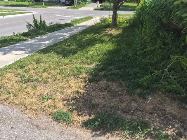 GRASS CUTTING WANTED482655198040576002