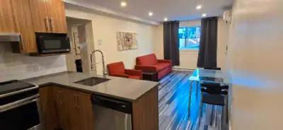 Appartement 3,5 one bedroom apartment Metro Pie IX