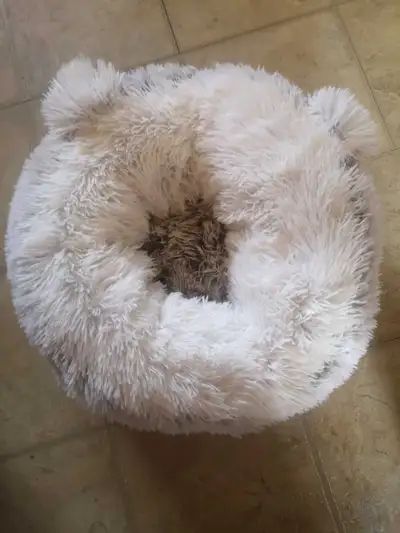 New fluffy cat bed 20.00 cash Pick up in Blackie
