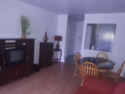Condo meublés à vendre situé à Ste-Foy dans la Cité universitaire le prix demandé est compétitif au...