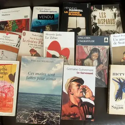 Livres, romans et certains scolaire, View more