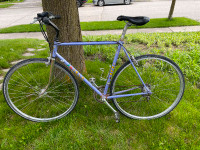 Large adult road bike (28")