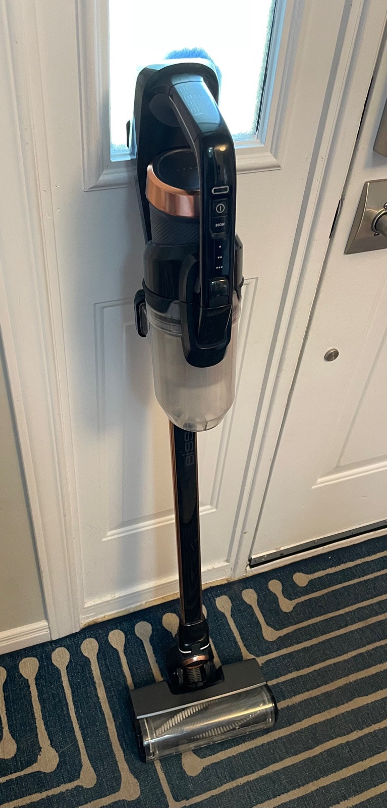 Bissell IconPet Pro Cordless Vacuum excellent condition Vacuums
