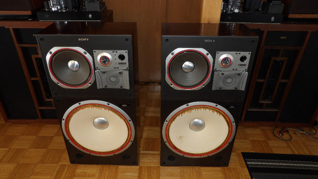 Sony SS-S1000WR speakers, CONSIDERING TRADES in Speakers in Gatineau - Image 2