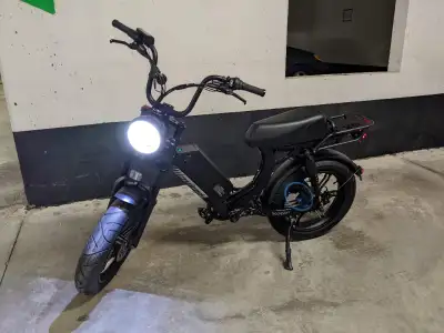 Electric Cargo Bike Long Range, View more