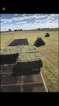 Hay for sale