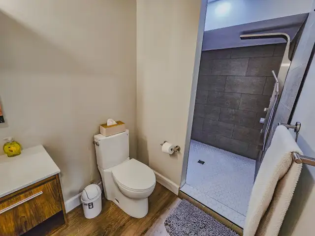New Fully Furnished Beach House for Rent in Ontario in Canada - Image 8