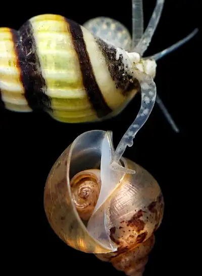 Dinner time, View more