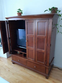 meubles de télévision en bois
