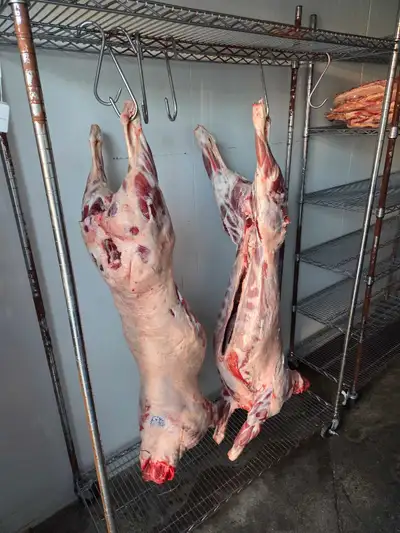 Halal lamb delivered to calgary, View more