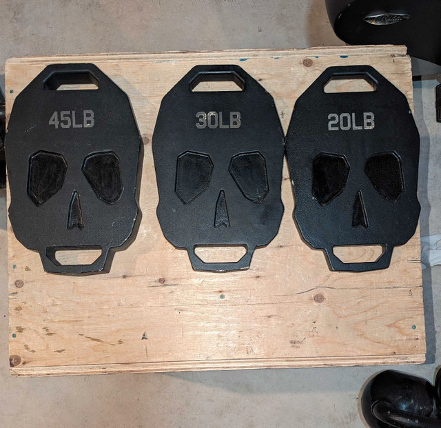 Fringe Sports Bonehead Ruck Weight plates in Exercise Equipment in Brantford