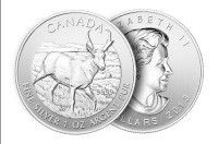 2013 Fabulous 15: Pronghorn Antelope 1 oz. pure silver coin BU
