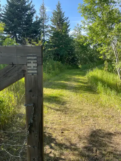 Offering pasture for goats or sheep , View more