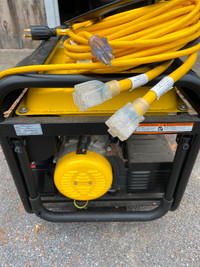 Portable electric generator