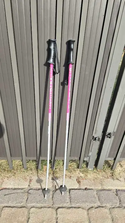 Ski pole, View more