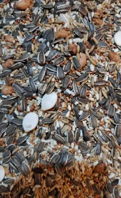 FARM FRESH BIRD SEEDS, View more