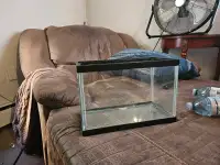 2 gallon glass fish tank