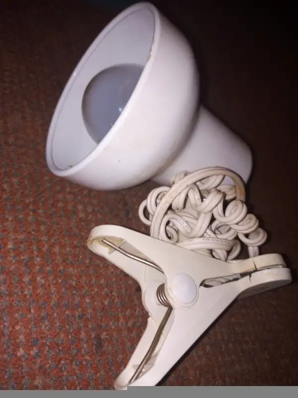 CLAMP ON READING LIGHT in Indoor Lighting & Fans in Sarnia - Image 3