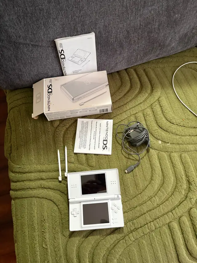 Nintendo DS lite508554963175362561