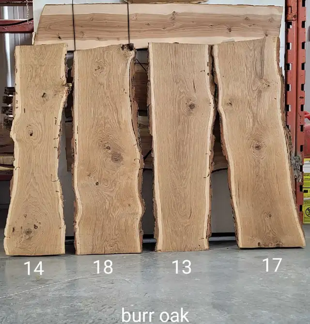 Live edge burr oak in Hobbies & Crafts in Winnipeg - Image 3