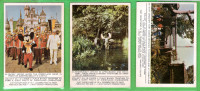 1965 Disneyland Vintage Trading Card LOT DE 14 CARTES EX SHAPE
