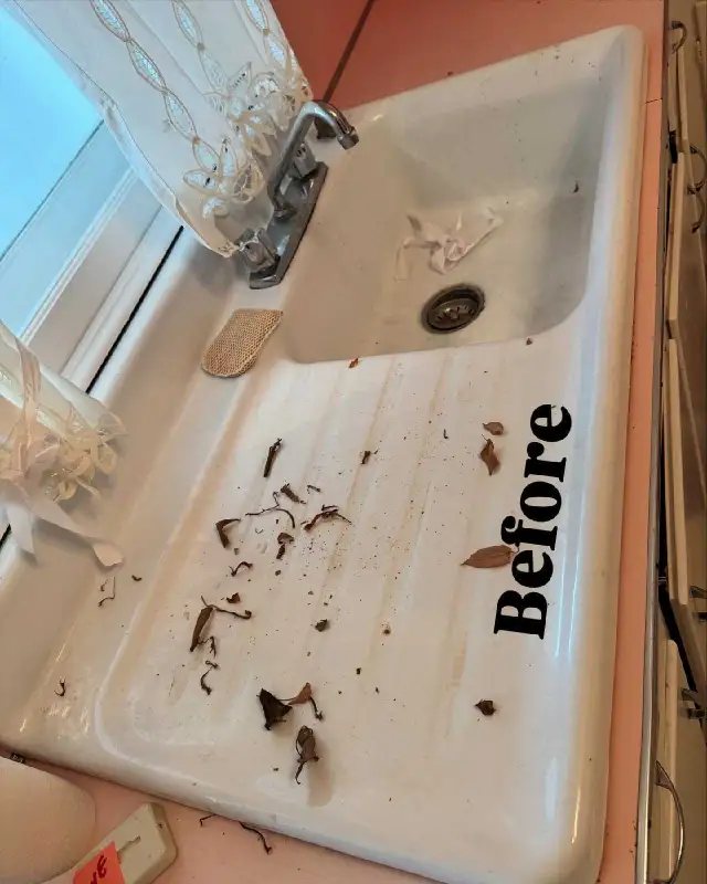 Need cleaning services?466415420262983683