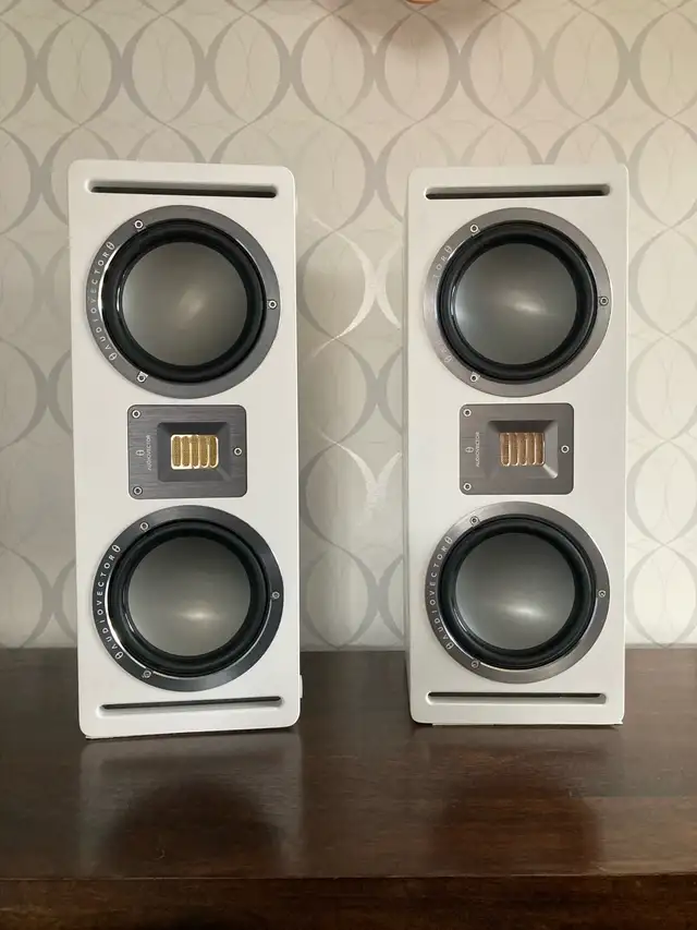 Audiovector QR-C Center Channel in Speakers in Calgary - Image 4