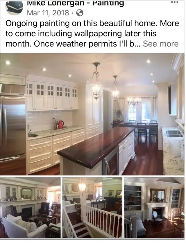 pro Painter - Semi Retired 