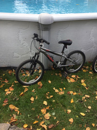 Bycicle roues 15 po