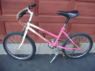 Vintage "Grizzly" Girls Bike - 6-Speed, View more