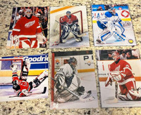 NHL Curtis Joseph Player photos 8x10 (lot 7)