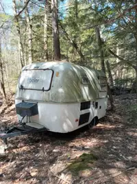 Wanted:Would love to buy a rough Boler,Trillium,Scamp,etc.