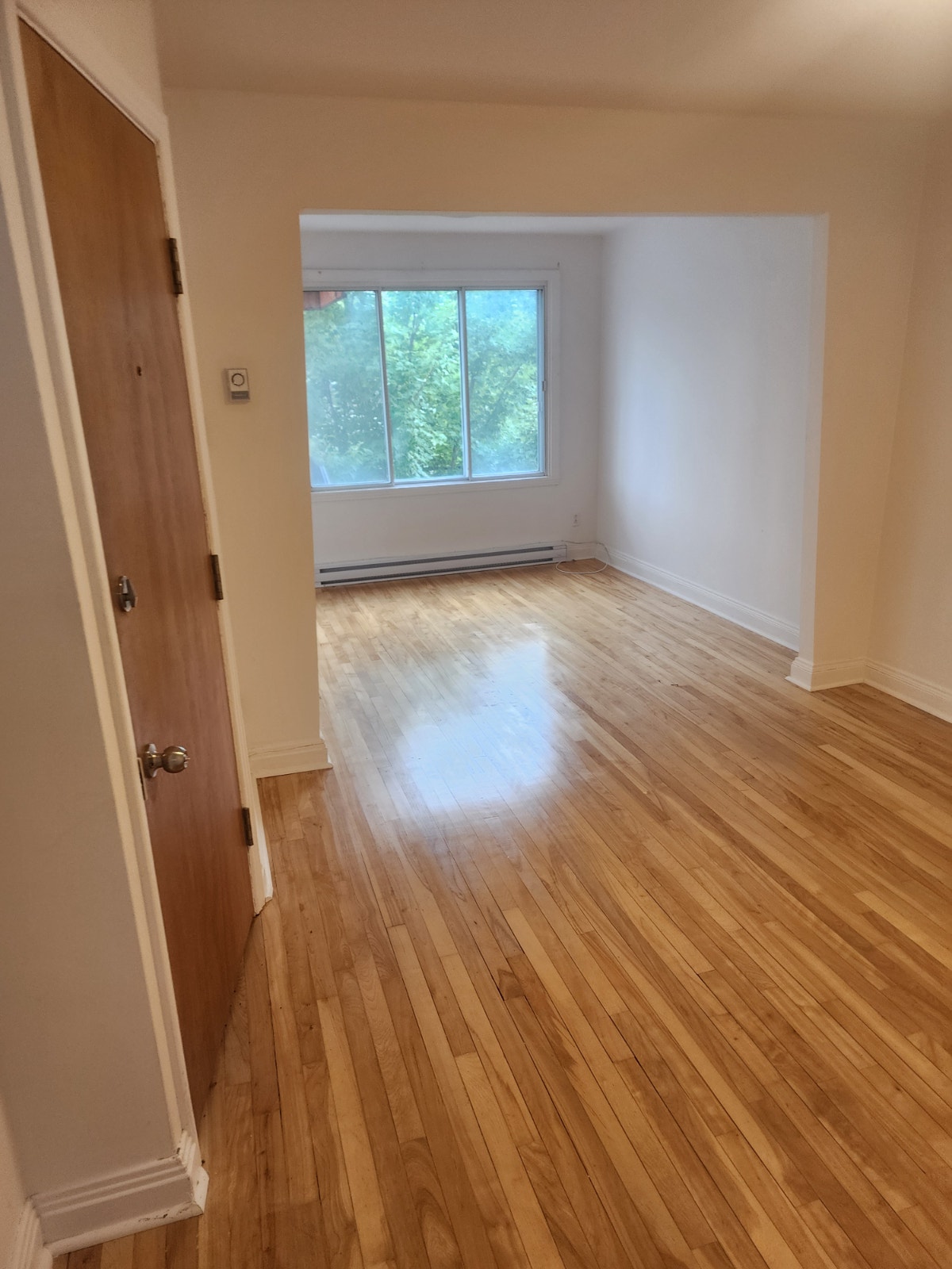 Luxurious 31/2 For Rent — photo 3