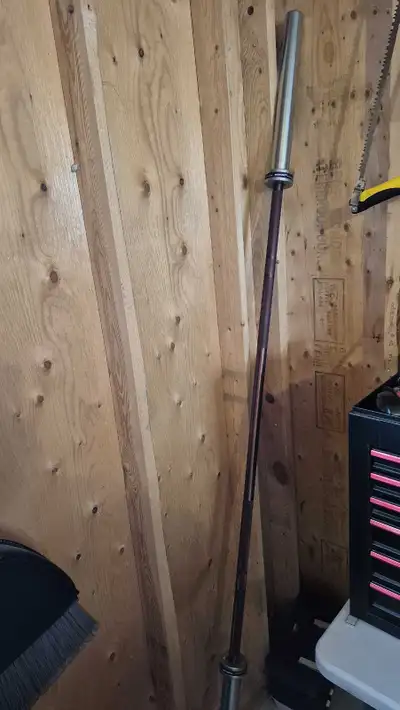 45 lbs Sqmize german olympic lifting bar, View more