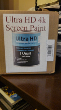 Projector screen paint