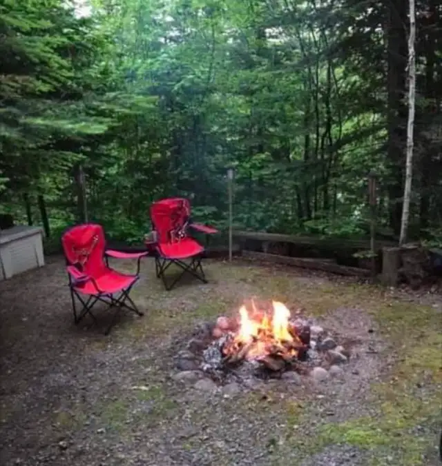 campfire wood $162863732265346126