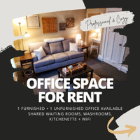 Professional Office Space for Rent (furnished + unfurnished)