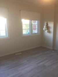 room for rent Newmarket