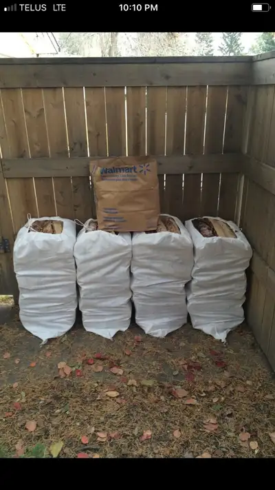 4 Huge Bags Birch Firewood+Kindle+Free Delivery$180, View more