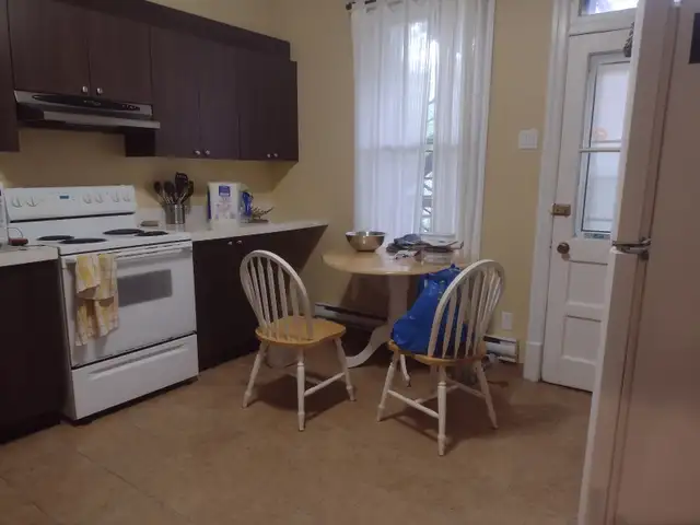 Two 5.5s (one 3-bed, one 2-bed) in the S-Ouest (Jolicoeur metro) in Long Term Rentals in City of Montréal - Image 8