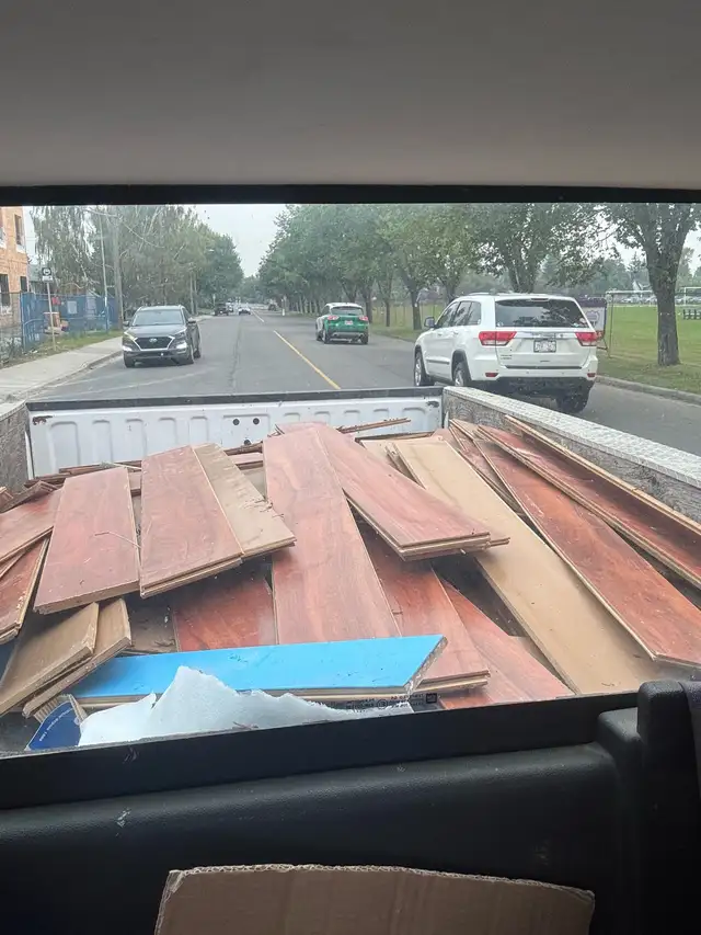 JUNK and garbage removal419781640423352322