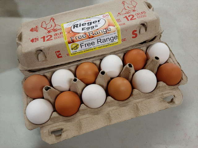 Farm Fresh Rieger Eggs, Armstrong, BC in Health & Special Needs in Vernon - Image 4