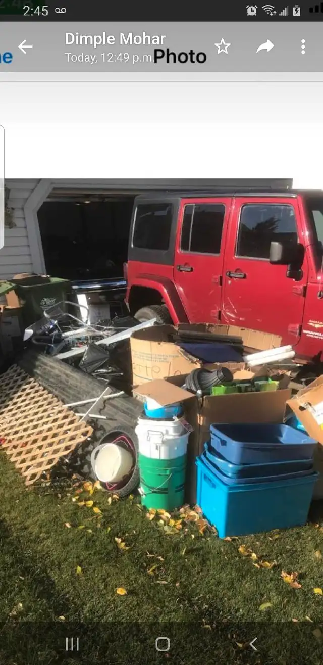 310 Bin rental Junk removal tree cutting call 780 996 6738 62863711239171124
