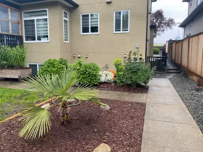 1-Bedroom Basement Suite – New Westminster, BC – $1,450/month